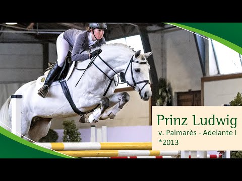 PRINZ LUDWIG v. Palmarès - Adelante I