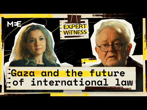 Immunity or impunity? International justice after Gaza | William Schabas | Expert Witness