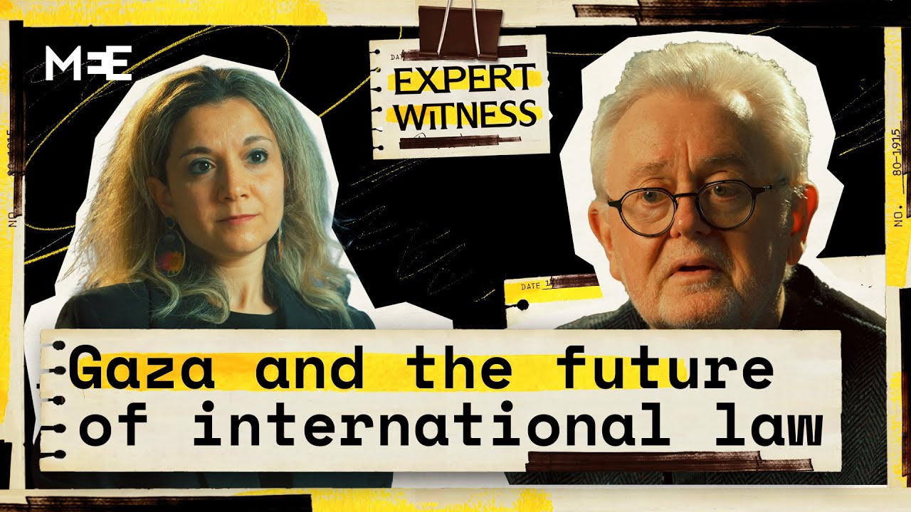 Immunity or impunity? International justice after Gaza | William Schabas | Expert Witness