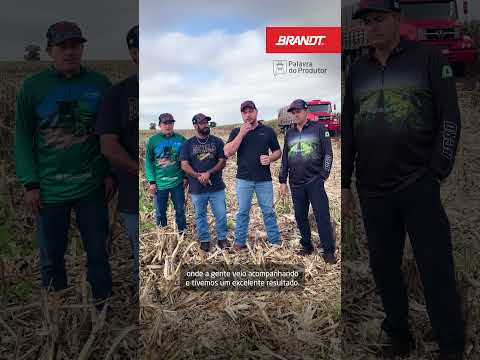 Palavra do Produtor: 🌽 24 sacas a mais no milho com BRANDT SeedFlow Micro