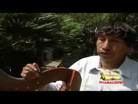 David Tapia y Su Arpa - Con Tus Manos