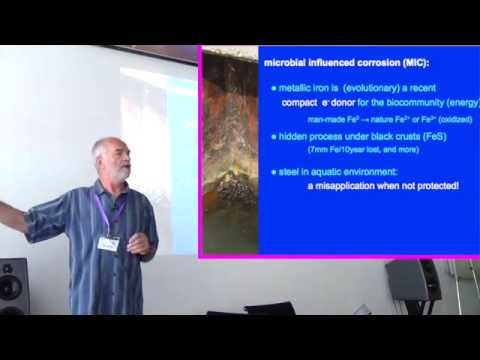 BIOCORIN 07 - Johan Mertens   Biological aspects of microbial influenced corrosion MIC