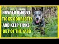 How To Keep Ticks Out Of Yard How To Remove Ticks From Dogs Happy Days