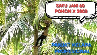 Download lagu PROFESSIONAL CLIMBERS ONE HOUR 60 TREES mp3 Download lagu PROFESSIONAL CLIMBERS ONE HOUR 60 TREES mp3