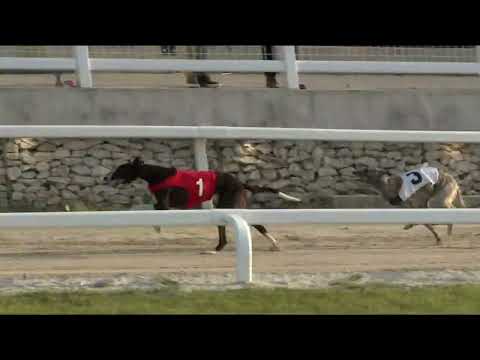 2022.06.03. 01. futam - Júniusi Trófea