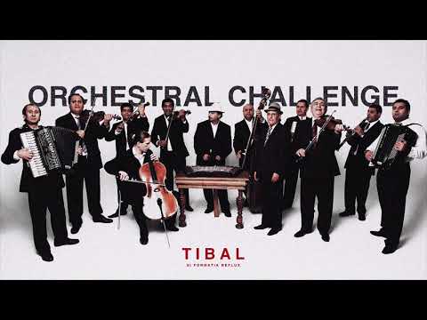 Tibal - Orchestral Challenge (prod. Reflux)