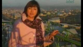 preview picture of video 'Халкым минем - Пенза, Урта Әләзән(2008) -Часть 1'