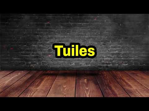 Tuiles Pronunciation | How To Pronounce Tuiles