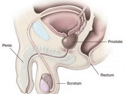 Schwindel Osteochondrose Behandlung der Volksmedizin Therapie bei Osteochondrose der Halswirbelsäule Technik üben