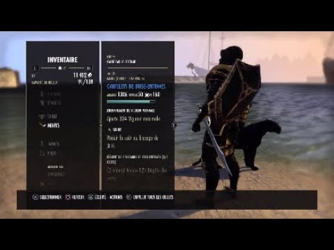 [eso] MGDK build open world {heavy armor} hight lvl and my guild PvP