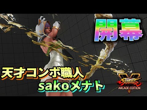 スト5AE 完成度高過ぎwガードできる気がしないトリガー攻撃 sako (メナト)