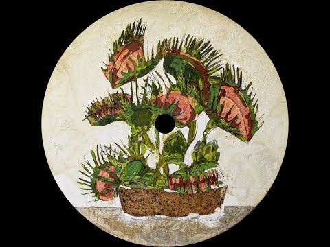 Aline Umber - Down To Earth