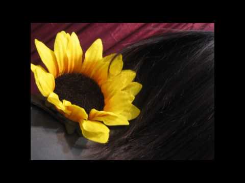 FanimeCon 2010 [[CtrlZPro]]