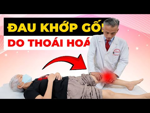 Sợ Phải Ngồi Xe Lăn Vì Thoái Hóa Khớp Gối? Bác Sĩ Chỉ Cách Phục Hồi
