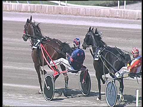 Trotto 08/05/2016 - 3° corsa