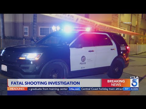 3 people in parked car shot at by unknown assailants; 20-year-old woman dead