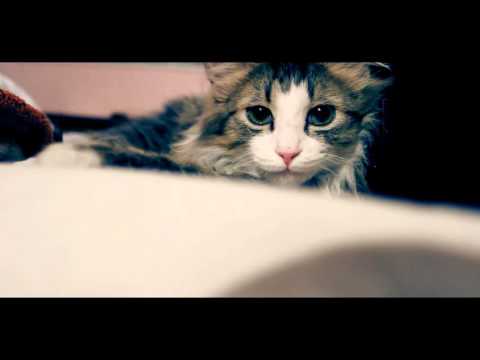 Tałi - Ostatni .. ( Ref. Klaudia Lipka )