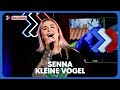 Senna - Kleine Vogel | LIVE bij RADIONL