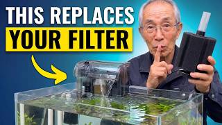 10 Cheap Aquarium Swaps That Will Save You Thousands Japanese Way