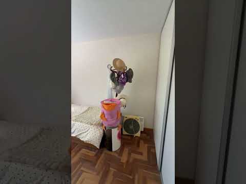 CASA EN VENTA DE 3 DORMITORIOS, PILETA Y PARQUE - B° LA CAROLINA