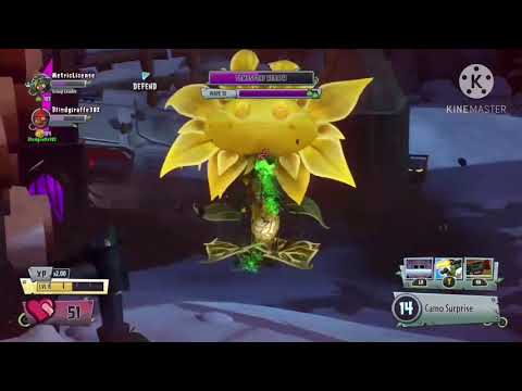 super sunflower queen wave