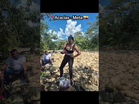 Acacias - Meta - Mayrovis #englot #freenbecky #LingOrm #fayemalisorn #Love #Family #Gl #Amor #Humor