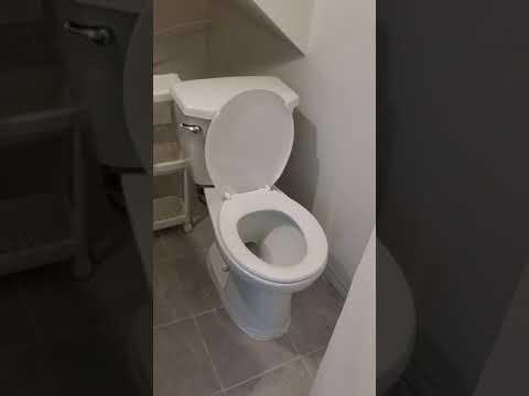 Studio/Bachelor room on Wexford-Maryvale neighborhood.