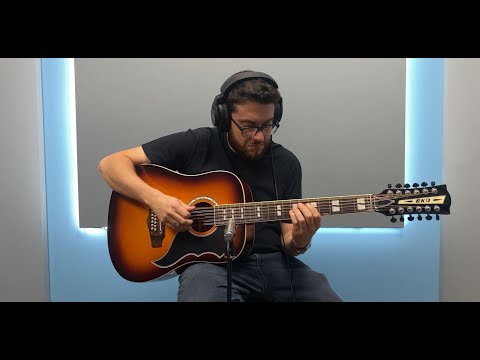 Eko Guitars | Ranger Vintage Reissue 12 corde Honey Burst