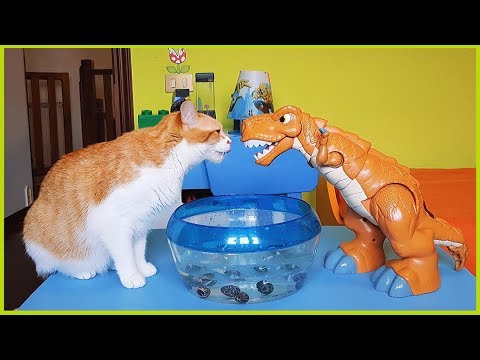 SCHIUDIAMO UOVA DI DINOSAURO!