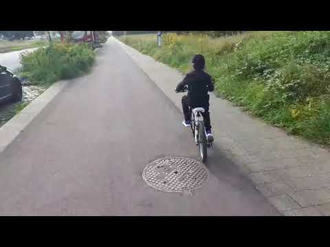 Summer day in Wilrijk