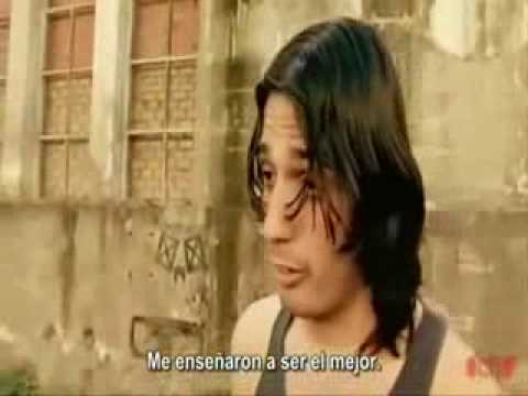 Malviviendo  _Mateo_ Una Gaviota Es Una Gaviota