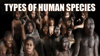 14 Different Types of Human Species Explained Mp4 3GP & Mp3