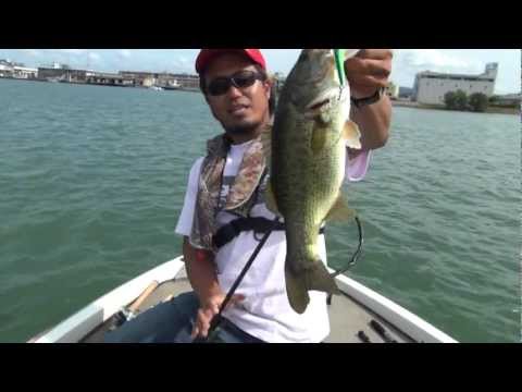 Megabass Vibration-X Rattlein 7.75cm 21g Bone Blue Back Chart S