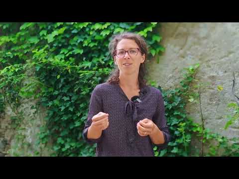 Bionik beginnt mit Beobachtung: Die Natur als Inspirationsquelle