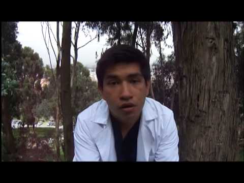 ELECTROENCEFALOGRAMA POLISOMNOGRAMA