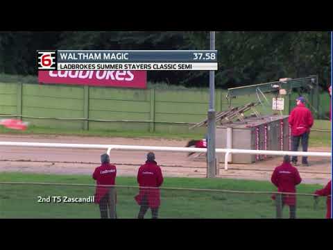 2020 LADBROKES SUMMER STAYERS - 2ND SEMI - T6 WALTHAM MAGIC