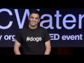 Why Don't Dogs Live Forever? | Rodney Habib | TEDxNSCCWaterfront Why Don't Dogs Live Forever? | Rodney Habib | TEDxNSCCWaterfront