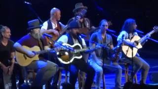 The Muse - Zac Brown Band July 22, 2016