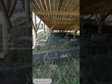 How We Build Underneath Goat House