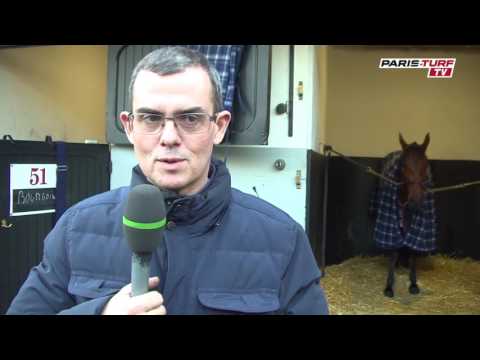 Paris-Turf TV - Bruno Bourgoin : Beauté de Bailly