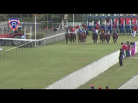 RM8 R6 | Cool At Heart | D.David