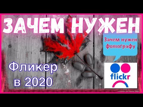 Лучшие фотохостинги в мире | Программное обеспечение | Блог | Клуб DNS