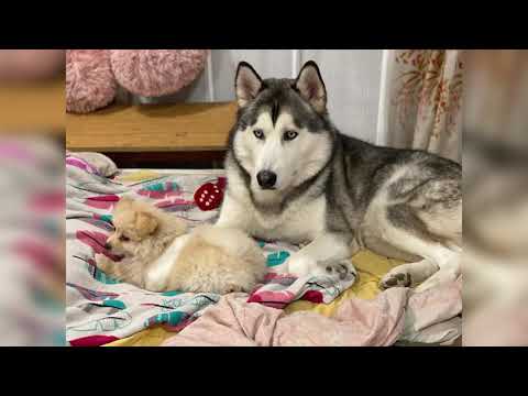 Even though we fight we can't stay away from each other