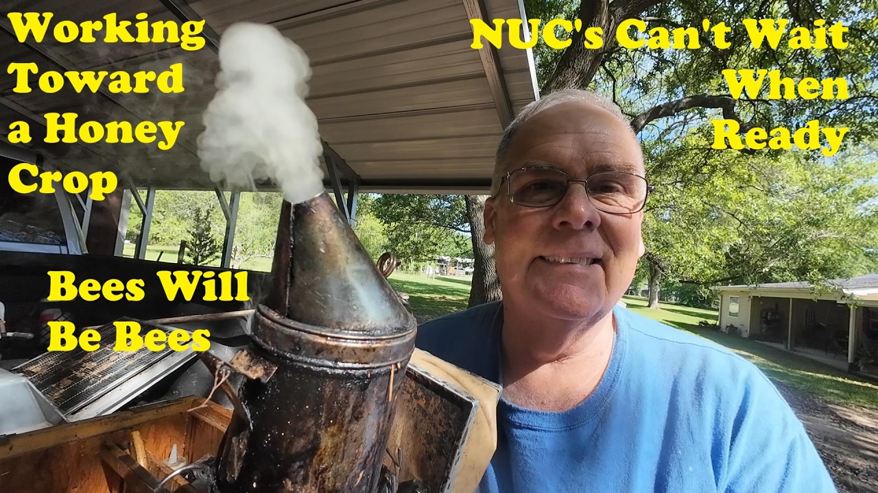 NUC Beehives Must Go | Apiary Happenings | Spring Beekeeping