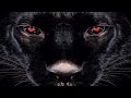 Assassin "Undaground Connexion Part.2"  feat Supernatural - Touche D'Espoir