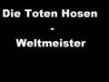 Toten Hosen - weltmeister - cover - unplugged ...