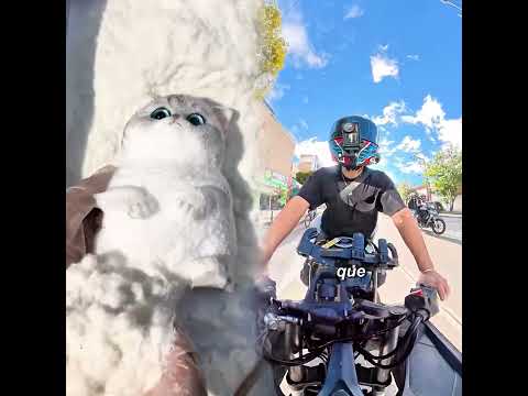 Esto PASA cuando llevo a VALENTINA #humor #motos
