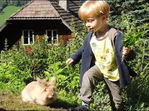 Ferienhaus Pirker - Eisentratten - Austria