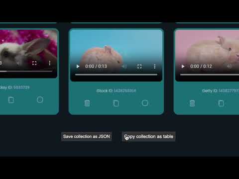 Item video thumbnail