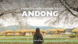 Spring trip to Korea's countryside, Andong | cherry blossom festival, Hahoe folk village